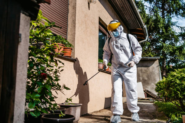 Best Residential Pest Control  in Cedar Bluff, AL