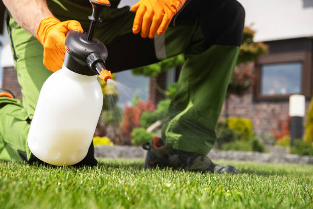 Best Pest Prevention Services  in Cedar Bluff, AL