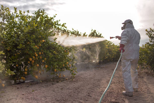 Best Bed Bug Extermination  in Cedar Bluff, AL