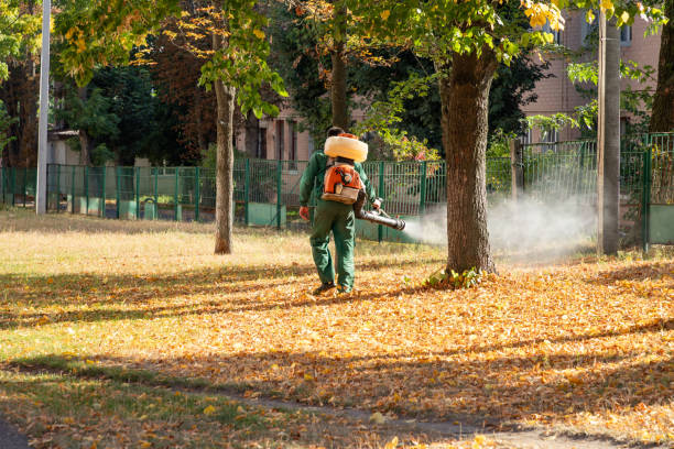 Best Affordable Pest Control Services  in Cedar Bluff, AL
