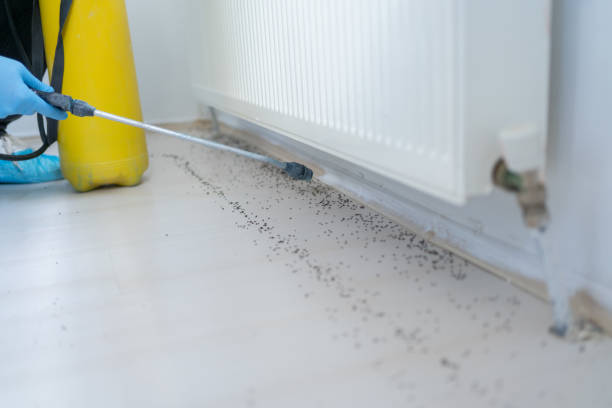 Best Flea Control Services  in Cedar Bluff, AL